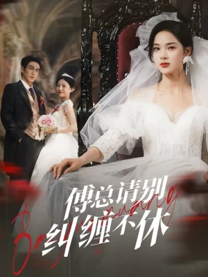 傅总请别纠缠不休海报