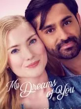 我的梦里有你海报