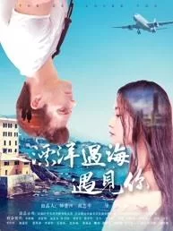 漂洋过海遇见你海报