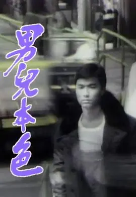 男儿本色(国语)海报