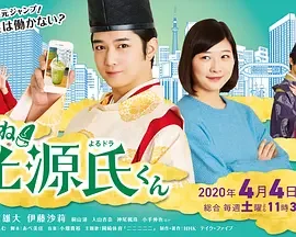 真好啊!光源君海报