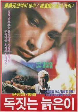 老陶工[电影解说]海报