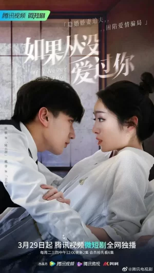 如果从没爱过你海报