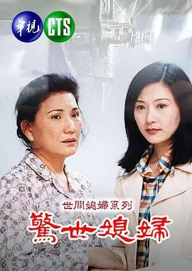 惊世媳妇[电影解说]海报