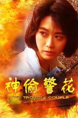 神偷警花海报