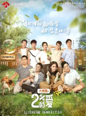 百分之二的爱第一季海报