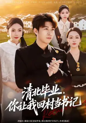 清北毕业,你让我回村当书记海报