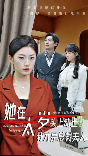 她在太岁头上动土,我才是总裁夫人海报