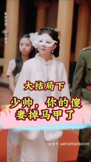 少帅,你的傻妻掉马甲了海报