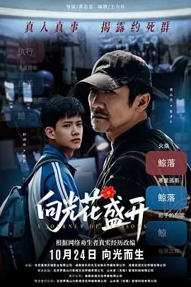 向光花盛开海报