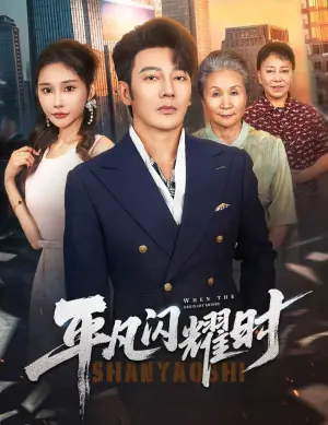 平凡闪耀时海报