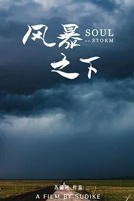 风暴之下海报