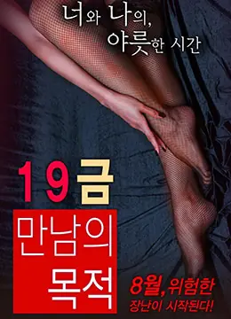 19禁:别人的目的海报
