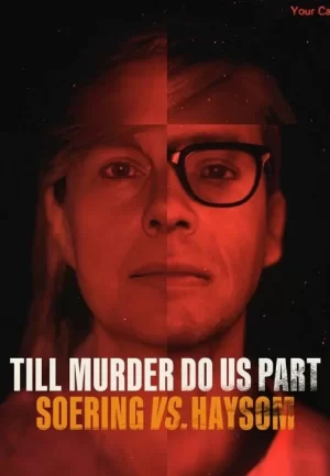 分飞囚鸟:弑亲案罗生门海报