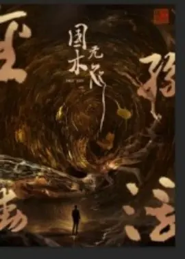 国木无双海报