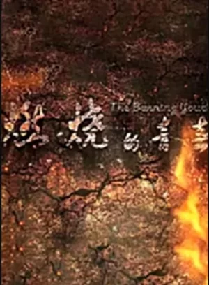 燃烧的青春海报