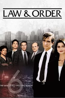 法律与秩序第六季海报