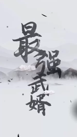最强武婿海报
