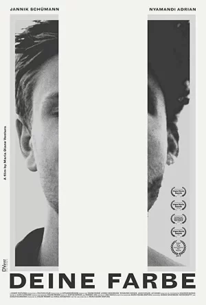 德纳·法贝海报