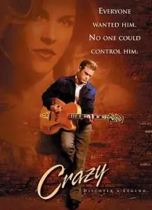 疯狂音乐家海报