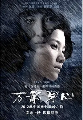 万箭穿心(武汉话版)海报