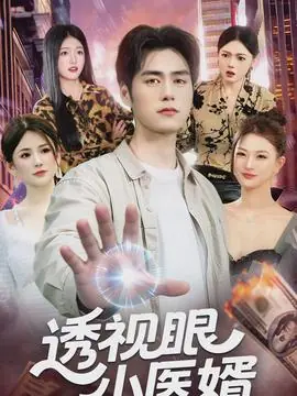 透视眼小医婿海报