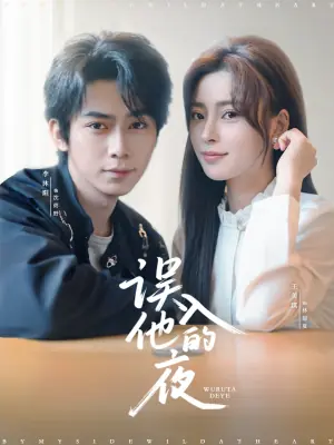 误入他的夜海报