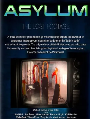 恐怖疯人院海报