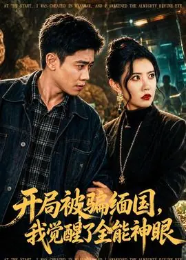 开局被骗缅国,我觉醒了全能神眼海报