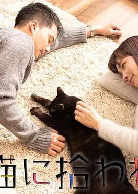 被流浪猫捡到的男人捨て猫に拾われた男海报