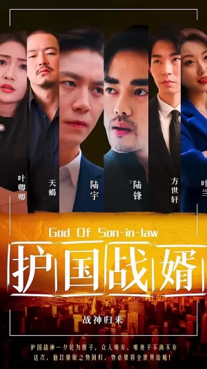 护国战婿海报