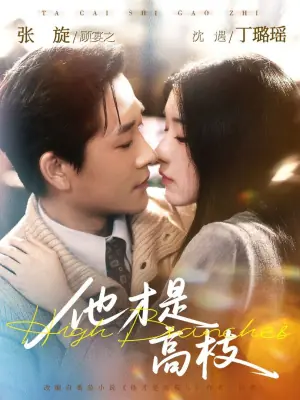 他才是高枝海报