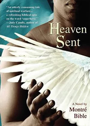 天堂来客(国语)海报