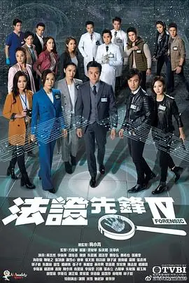 法证先锋4法證先鋒IV海报