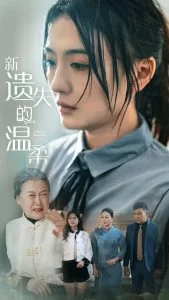 新遗失的温柔海报