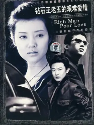 钻石王老五的艰难爱情海报