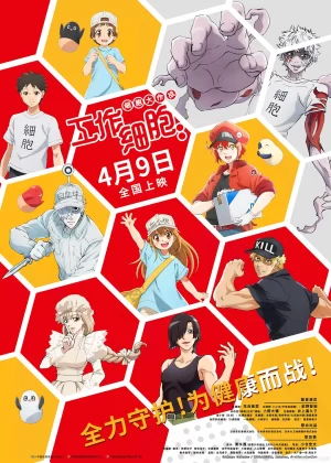 工作细胞:细胞大作战[电影解说]海报