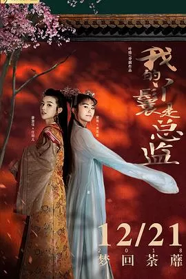 我的丫鬟是总监[电影解说]海报