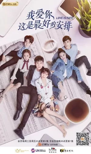 我爱你,这是最好的安排海报