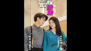 夜少的替嫁新娘海报