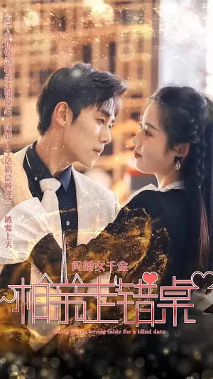 闪婚女千金,相亲走错桌海报