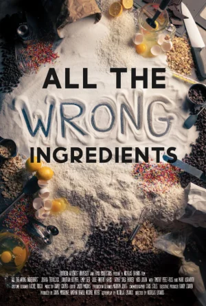 AllTheWrongIngredients海报