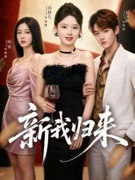 新我归来海报