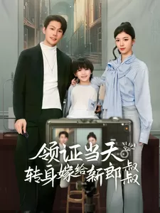 领证当天转身嫁给新娘叔叔海报