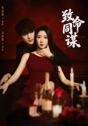 致命同谋海报