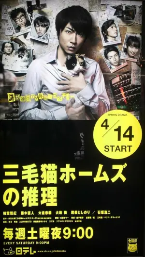 三花猫福尔摩斯的推理海报