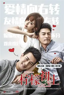柠檬初上[DVD版]海报