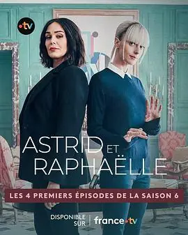 子不雨双姝奇探第六季海报