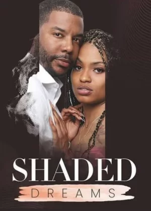 阴影的梦想海报