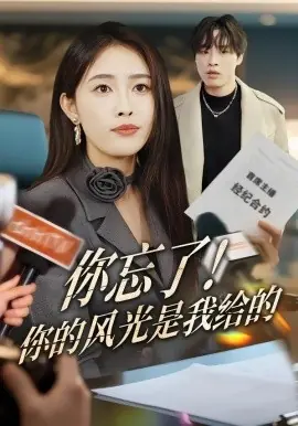 你忘了!你的风光是我给的海报